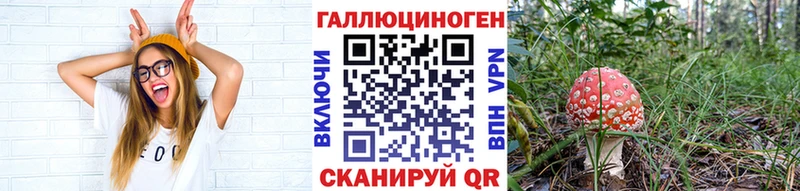 купить  цена  Сердобск  Галлюциногенные грибы мицелий 